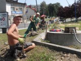Jaworzno: Dwie małopolskie firmy rozpoczęły prace przygotowawcze przed modernizacją rynku