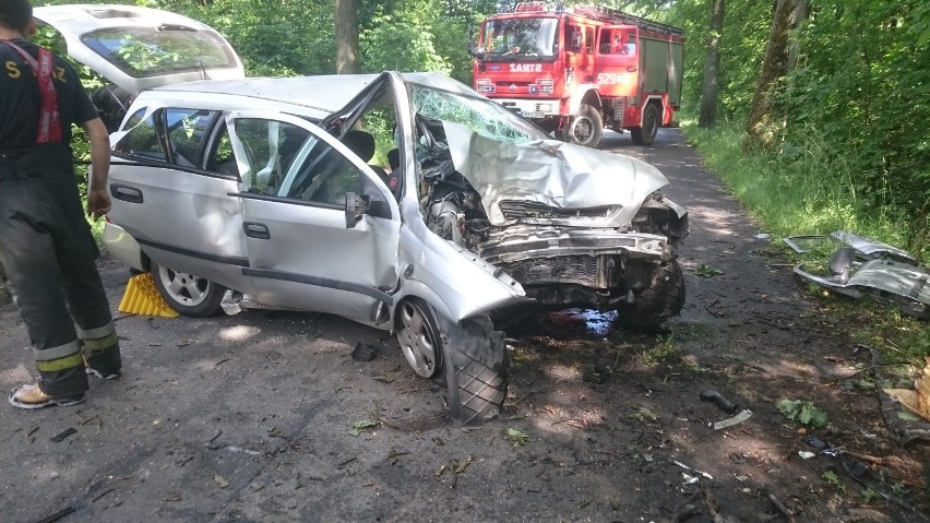 Kierowca czołowo uderzył w drzewo w Mysłowicach