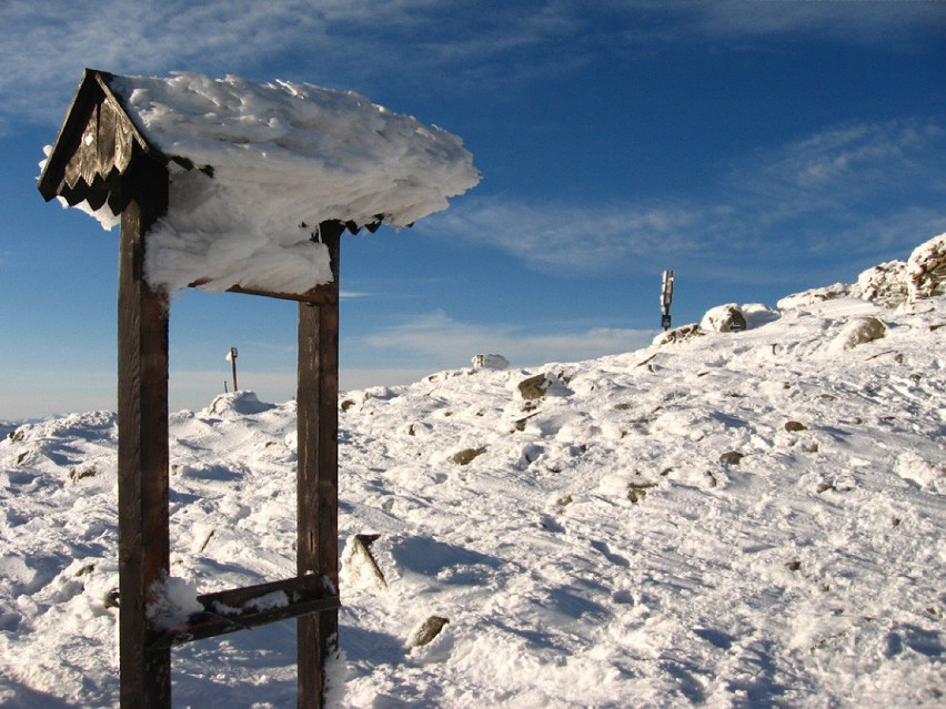 Śnieg w Beskidach. Na Babiej Górze jest już pół metra białego puchu! [ZDJĘCIA]