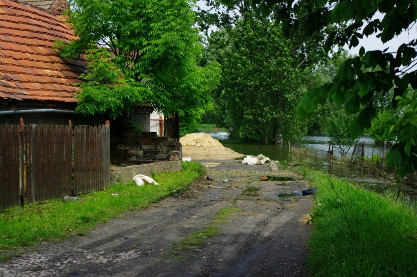 Powódz z 2010 roku. Tak mieszkańcy Głogowa i okolic bronili wałów Odry