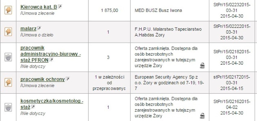 Oferty pracy Żory: Sprawdź, jakie są i ile można zarobić?