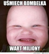 Pieseł Piotera i Madka z Bombelkami. Ulubieńcy polskiego internetu [MEMY]