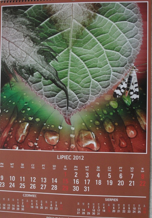 Kalendarz wydany przez starostwo powiatu bieruńsko-lędzińskiego
