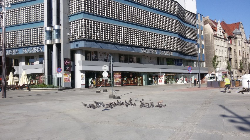 Przebudowa centrum Katowic, nowy rynek Katowice