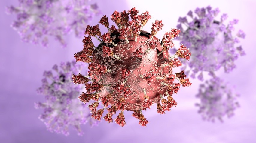Od czasu wybuchu pandemii naukowcy badają, dlaczego wirus...