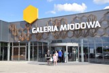 Galeria Miodowa w Kluczborku. Oto kolejne nowe sklepy, które zostaną otwarte jesienią [LISTA]