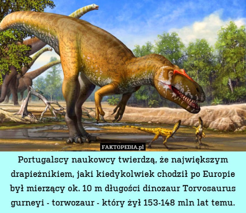 ZOBACZ TAKŻE: Dinozaury w Poznaniu - one tam są i będą!