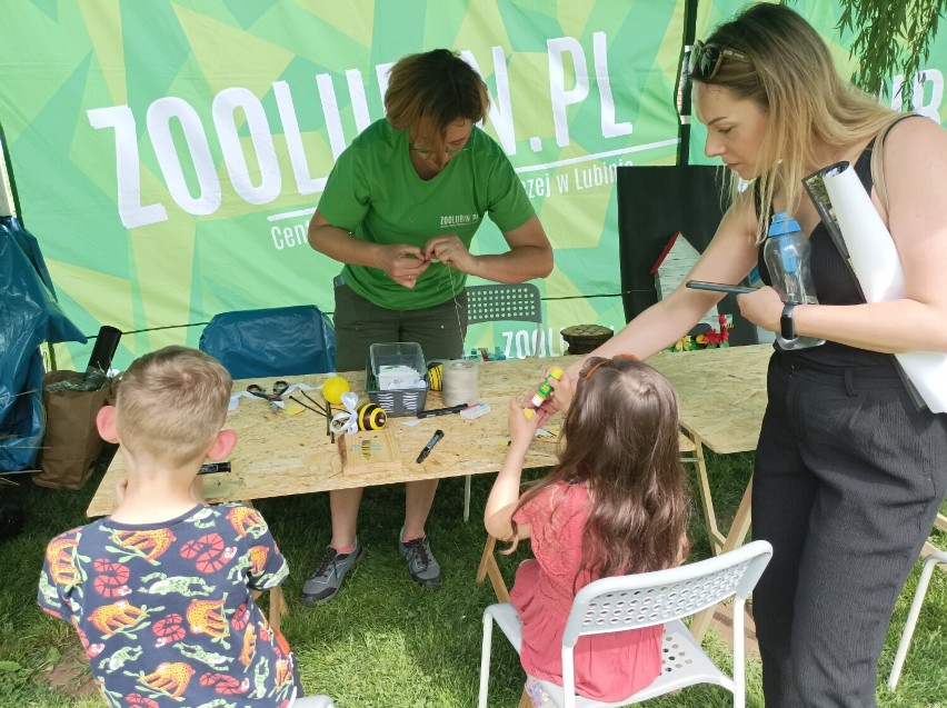 III Światowy Dzień Pszczół w lubińskim zoo rozpoczęty!