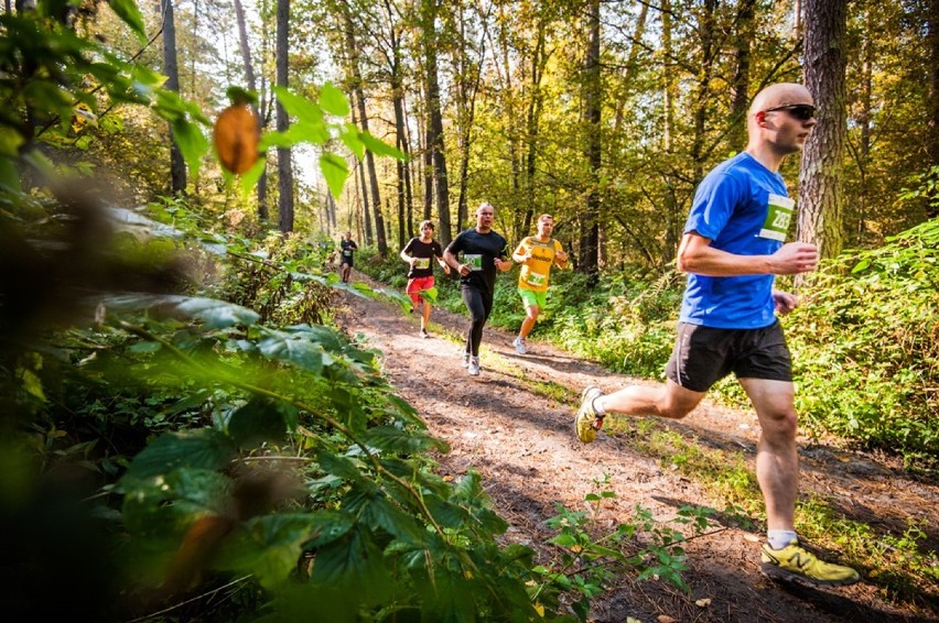 City Trail, Warszawa. Cykl biegów zaczyna swoją letnią...