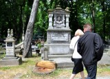 Ubywa drzew na cmentarzu przy Lipowej