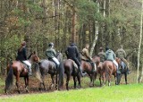 Pogoń za lisem. Hubertus w Wielkim Buczku