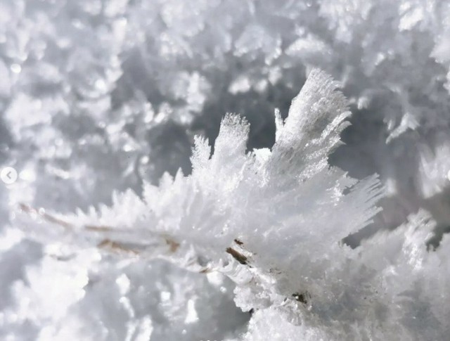 Zimowe zdjęcia powiatu kościerskiego wykonane przez Annę Nidecką zachwycają.