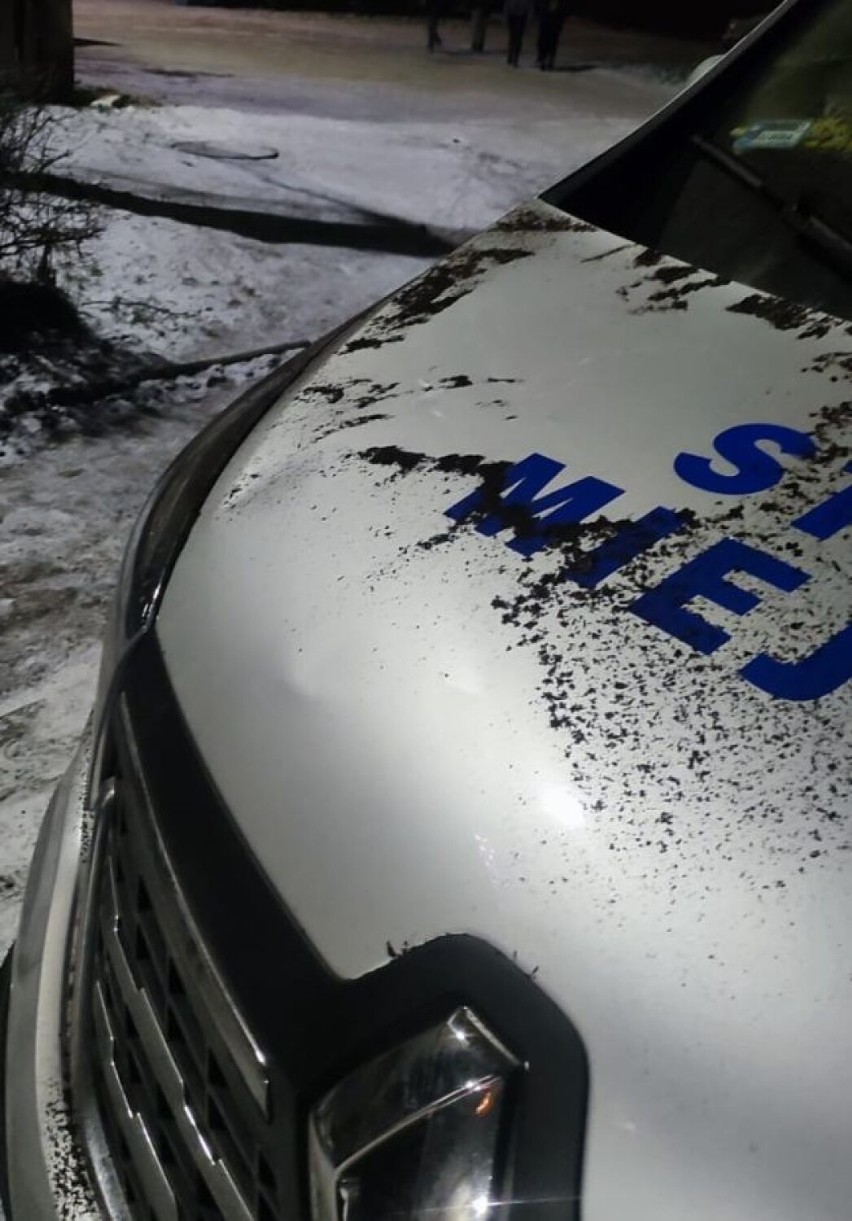 Jelenia Góra: Kobieta rzuciła donicą prosto w stojący pod domem radiowóz Straży Miejskiej
