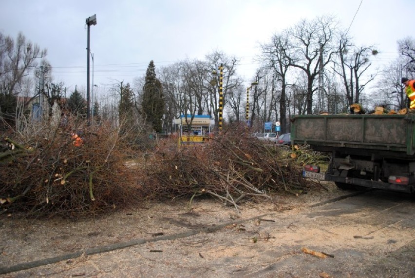 Ruszyła wycinka drzew przy wieży ciśnień w Tczewie