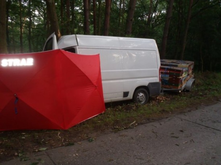 Wypadek w miejscowości Niezgoda. Bus przewożący pszczoły...