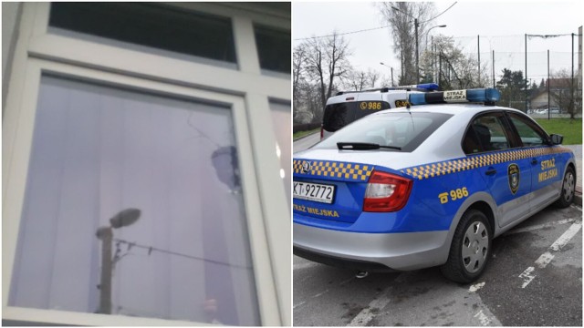 Zgłoszenie o wybitej szybie strażnicy miejscy otrzymali od jednej z osób pracujących w budynku przy ulicy Lwowskiej