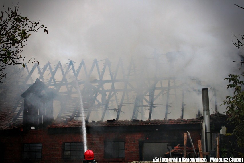 Do pożaru w centrum Podgórzyna doszło w środę, 25.10.2023,...