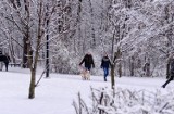 Śląskie: IMGW  ostrzega. Silny mróz, śnieg i wiatr. Najzimniejszy dzień roku [PROGNOZA POGODY 26.02]