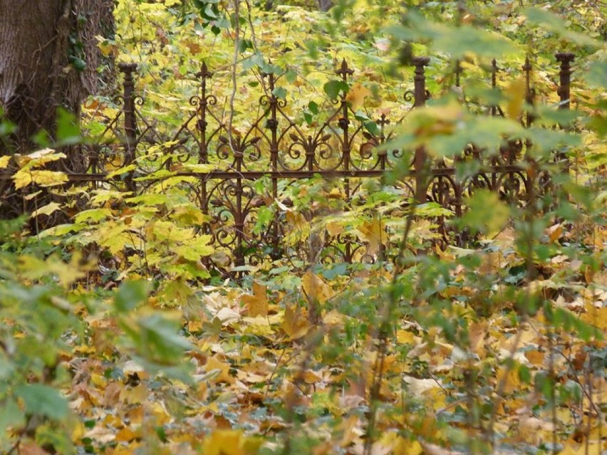 Smak Czasów Minionych - cmentarz ewangelicki w Rogoźnie