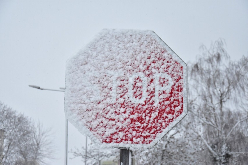 Żnin po opadach śniegu w piątek, 03.02.2023.