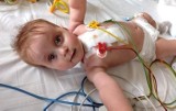 Nikola z Wodzisławia Śl. urodziła się z jednokomorowym sercem. Czeka na operację w Bostonie. Pomóżmy zebrać rodzinie 5,3 mln zł ZDJĘCIA
