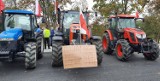 Protest rolników w Przedborzu. Blokowali m. in. DK 42 jeżdżąc z minimalną prędkością [ZDJĘCIA]