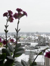 Dzień dobry 13 lutego 2017 r. w Tychach i powiecie bieruńsko-lędzińskim