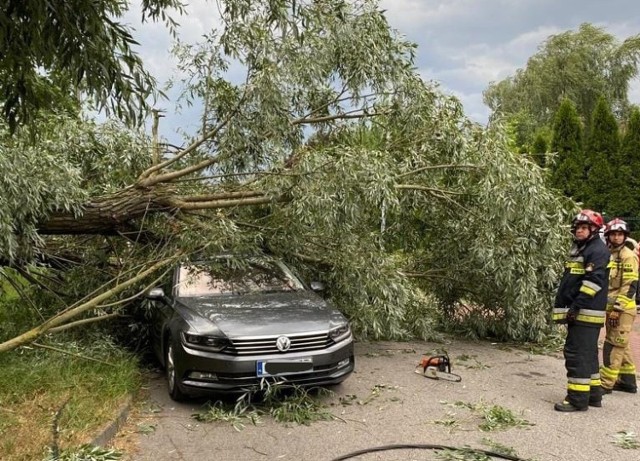 Na ul. Plebiscytowej w Toruniu w wyniku silnych porywów wiatru drzewo spadło na zaparkowany tam samochód. Na szczęście wewnątrz pojazdu nikogo nie było.