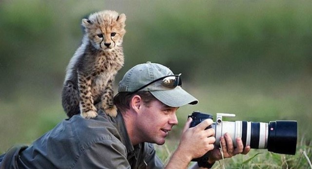 Fotografowie natury mają najlepszą pracę na świecie. Nie wierzysz? Zobacz te zdjęcia [GALERIA]