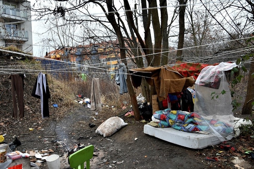 Bezdomni koczują w krzakach, mieszkańcy Gaju się boją [ZDJĘCIA]