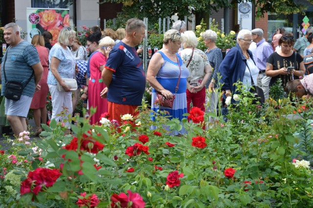 Festiwal Róż 2022 w Łasku: stoiska, koncerty, wystawy