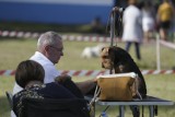 Najpiękniejsze i najzdolniejsze. Wystawa psów rasowych w Parku Kultury i Wypoczynku w Słupsku [ZDJĘCIA]