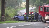 Śmiertelny wypadek pod Kamienną Górą. Nie żyją dwie osoby [zdjęcia, wideo]