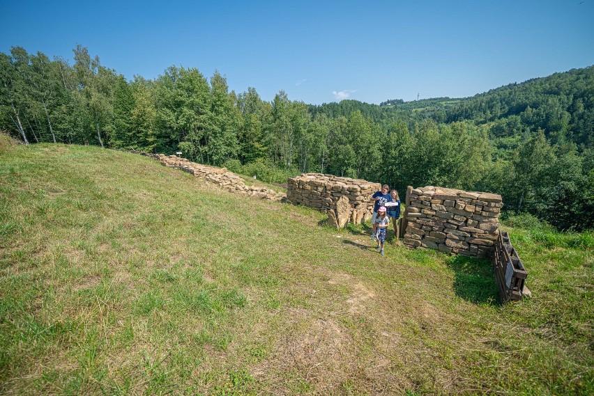 Maszkowice. Na Górze Zyndrama trwają prace archeologiczne. To jedna z najstarszych osada w Europie [ZDJĘCIA]