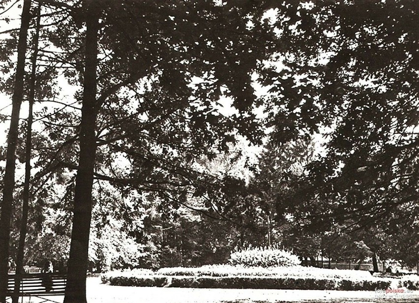 Lata 1960-1970 , Park miejski