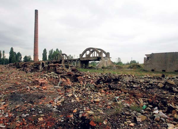 Teren Huty Metali Nieżelaznych "Szopienice" w Katowicach  wkrótce pokryje się zielenią