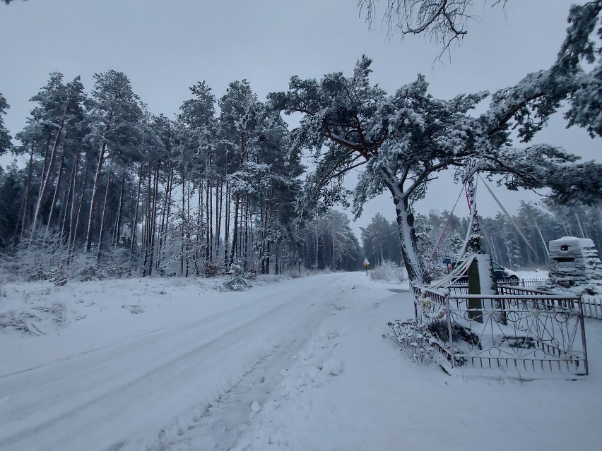 Ponowny atak zimy. Meteorolodzy ostrzegają przed zamieciami i zawiejami śnieżnymi, dużymi opadami śniegu oraz oblodzeniem
