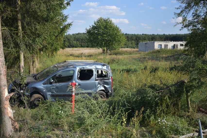 Wypadek w Borowcu pod Wieluniem. Kierowca citroena trafił do szpitala [ZDJĘCIA]