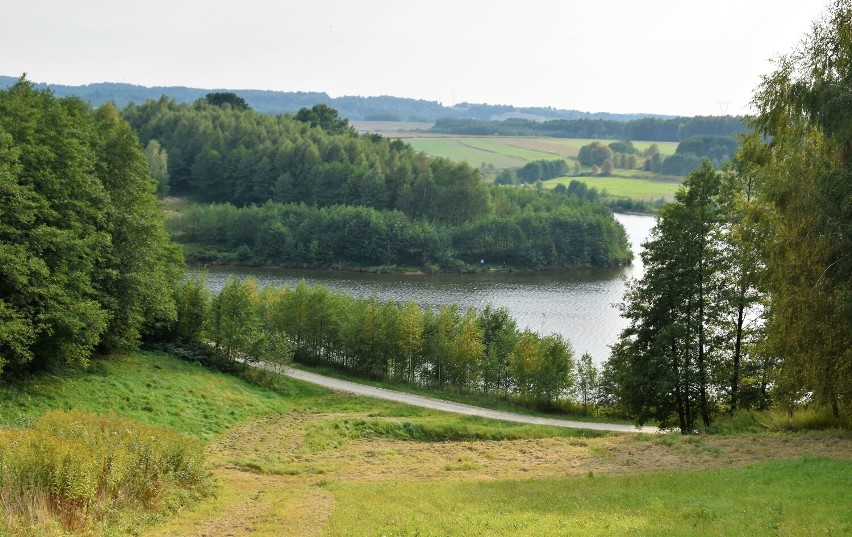 Okolice zbiornika retencyjnego na Korzeniu w Skrzyszowie