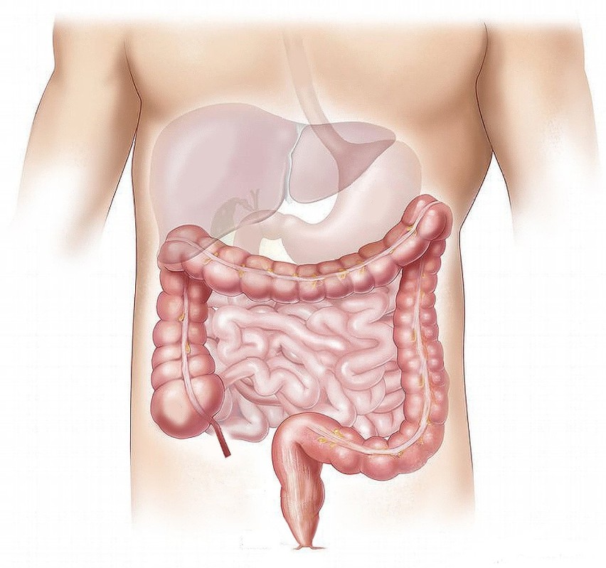 16. HEPATOLOG

Średni czas oczekiwania na wizytę: 3 miesiące...