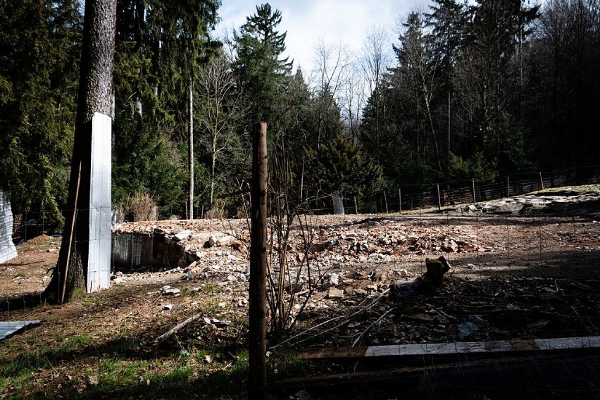Szczawno-Zdrój: Ruszyła odbudowa amfiteatru w Parku Zdrojowym (ZDJĘCIA)