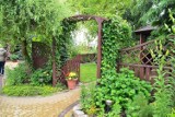 Komisja wybrała najpiękniejsze ogrody w Minikowie, Gumnowicach i Ślesinie