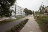 Nowy park linearny w Warszawie. Inwestycja za niemal 2 mln powstanie na Bielanach. Jak będzie wyglądać?