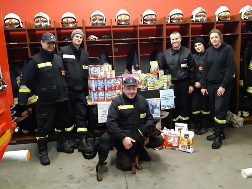 Strażacy z OSP Sławsko z pomocą dla zwierzaków z "My 3 Koty i Psy" 