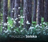 O pięknie Puszczy Solskiej, ptakach i pożeraczach owadów. Lubelskie Towarzystwo Ornitologiczne wydało unikatowy album fotograficzny