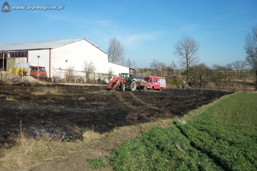 PSP Mogilno: Pożar traw w Kwieciszewie [ZDJECIA]