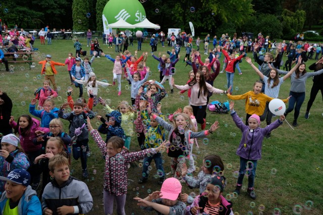 Piknik ekologiczny w Parku Śląskim