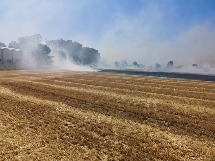 Spłonęło 170 hektarów! W akcji wzięło udział 30 zastępów straży pożarnej i trzy samoloty gaśnicze [ZDJĘCIA] 