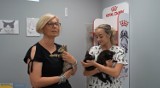 Fundacja Mondo Cane we Włocławku prosi o pomoc dla kotów