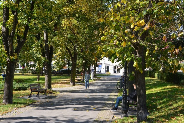 >>>Jesień w Parku Miejskim w Pińczowie. Zobacz więcej na kolejnych slajdach.